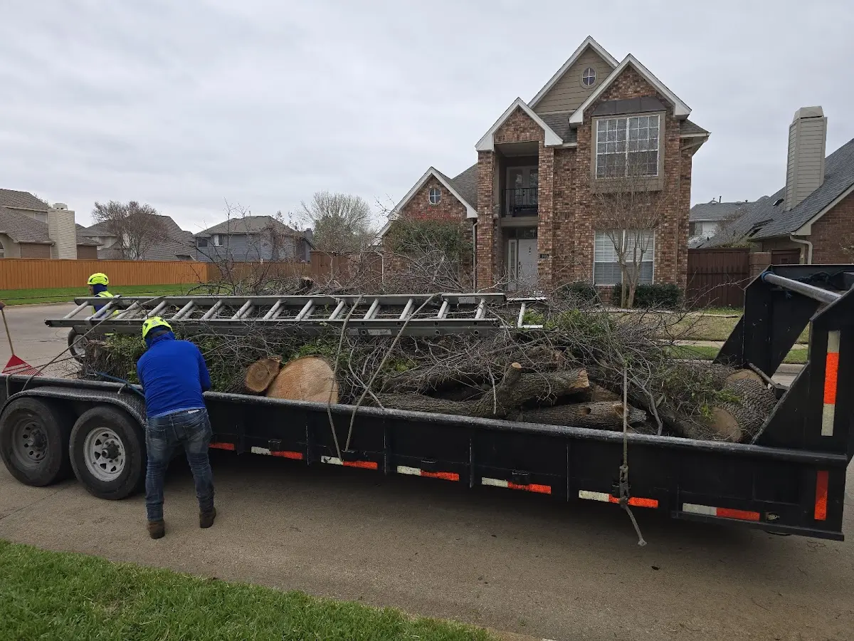 Expert Tree Removal with proper safety equipment in Monterville